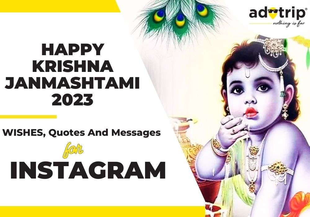 happy krishna janmashtami 2023 : wishes, quotes and messages